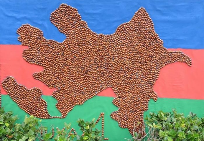 Azərbaycanda dünyada 2-ci fındıq istehsalçısı ola bilər