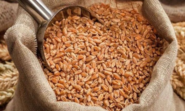 Azərbaycana buğda idxalı 1 milyon tonu keçdi