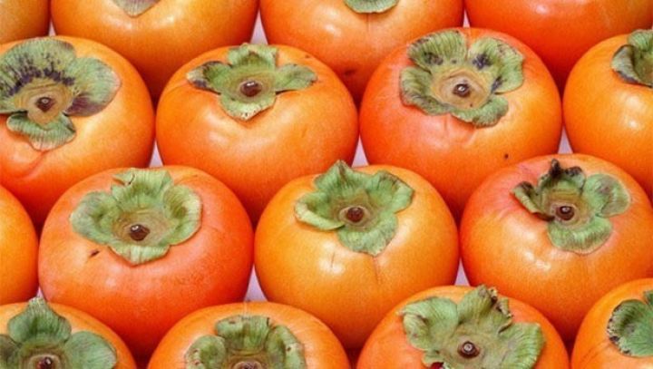 "Rusiyada xurma az alınır, yeni bazarlar araşdırılır"