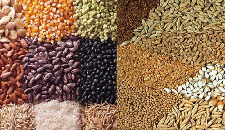 Azərbaycanda ilk dəfə toxum sərgi-satış yarmarkaları keçiriləcək