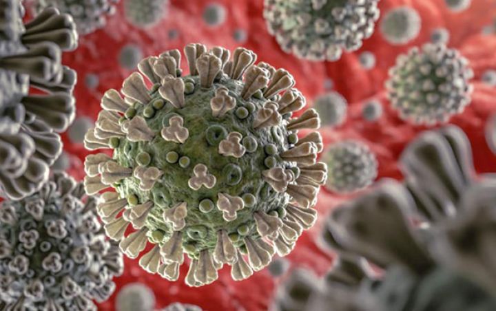 Azərbaycanda koronavirus ilə bağlı son vəziyyət  - RƏSMİ MƏLUMAT