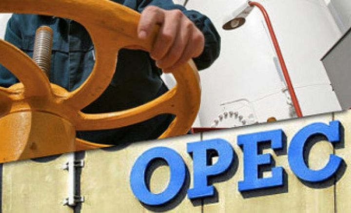 "OPEC+" iştirakçılarının noyabr görüşü Vyanada baş tutacaq