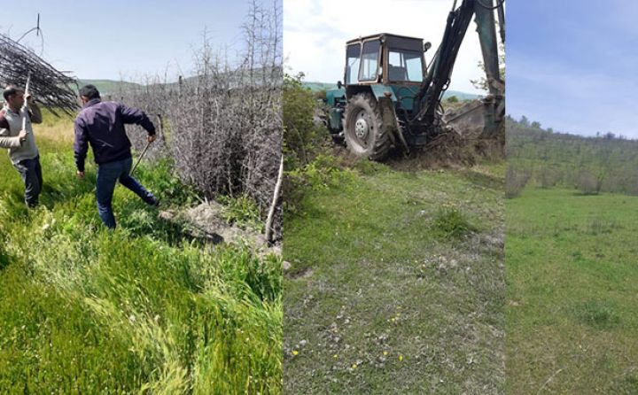 Zəbt olunan örüş yerləri yenidən əhalinin istifadəsinə verilir