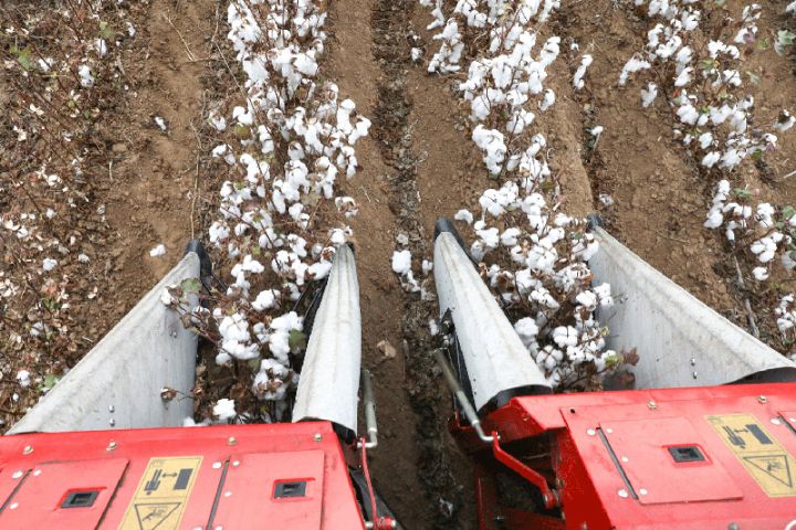“Azərpambıq Aqrar Sənaye Kompleksi”nin Müşahidə Şurasının iclası keçirilib