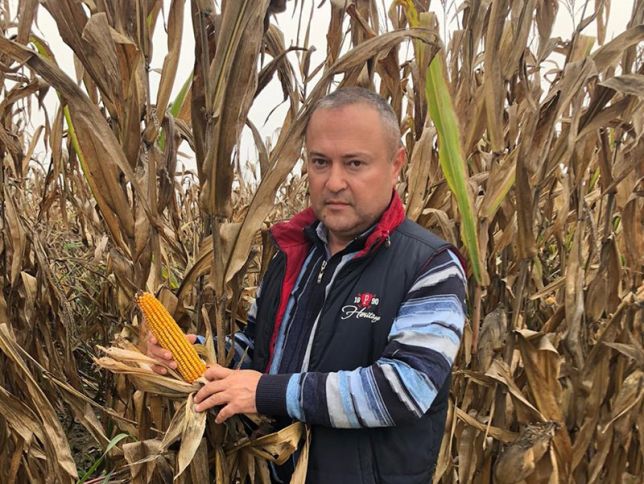 35 ha  sahəsindən 308 ton qarğıdalı istehsal edib - QALİB OLDU