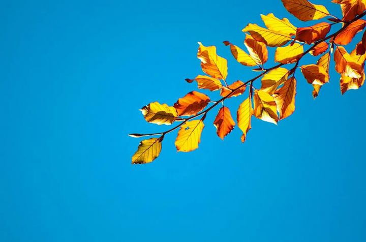 Sabaha olan hava proqnozu açıqlanıb