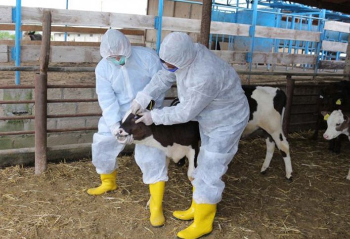 Yeni sədr baytarlıq xidmətlərilə bağlı planları açıqladı