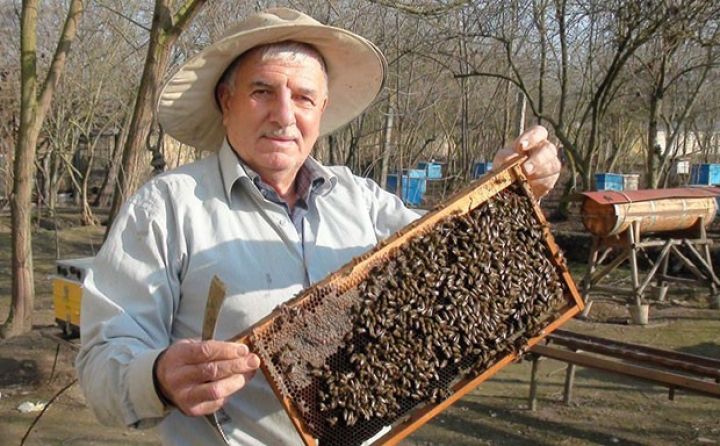 "Qış mövsümü mülayim keçdiyinə görə arılar yuxuya getməyib"