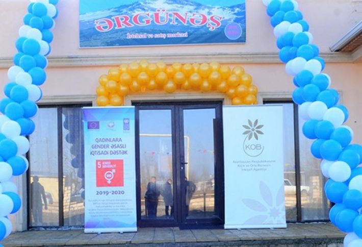 Qadınlar üçün biznes sahələri yaradılıb
