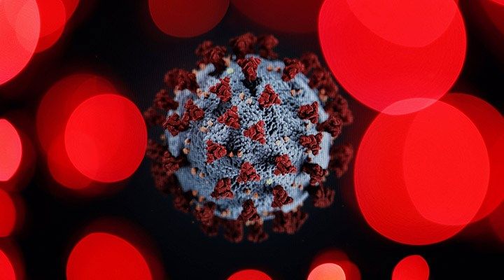 Azərbaycanda koronavirusa yoluxma faktı artdı