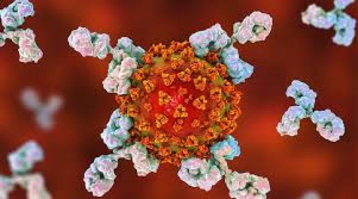 Azərbaycanda koronavirus ilə bağlı son vəziyyət açıqlandı