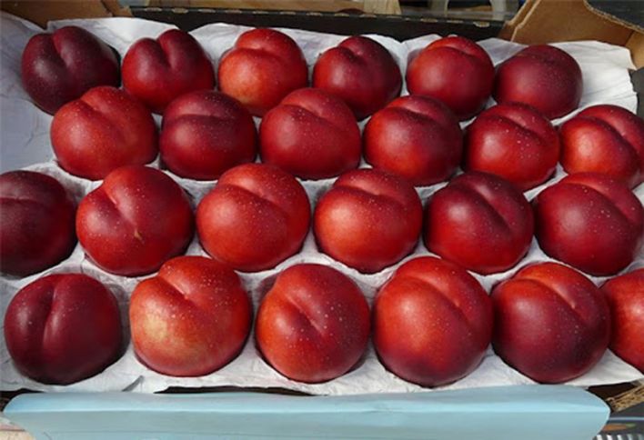 Rusiya 140 tona yaxın Azərbaycan məhsullarını geri qaytarıb