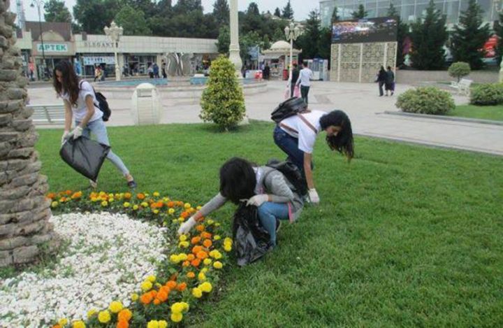 Gəncə şəhərində ətraf mühitin vəziyyəti açıqlanıb