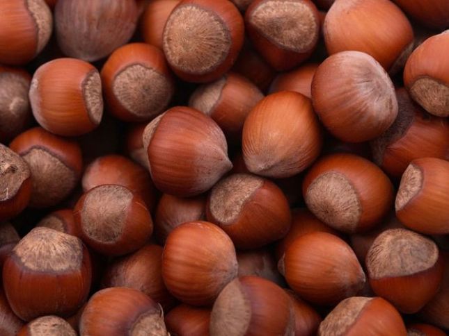 Agentlik sədri fındıq məhsullarında aflatoksinin aşkarlanmasına münasibət bildirdi