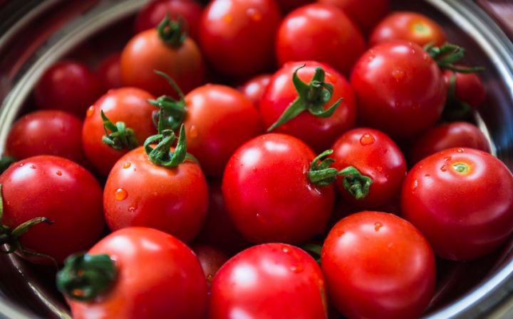 Azərbaycanın daha 4 sahibkarlıq subyekti Rusiyaya pomidor ixrac edə biləcək