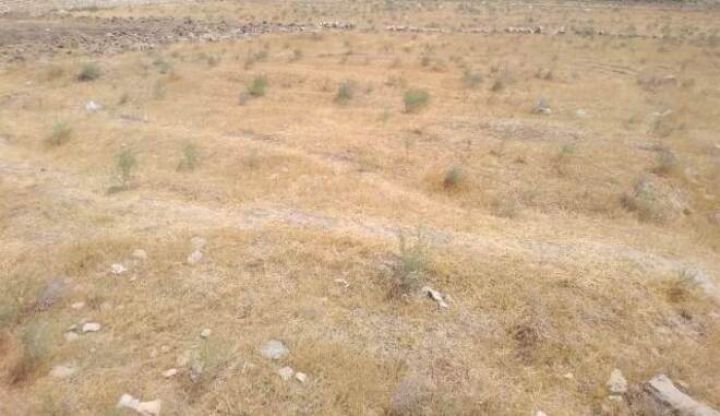 Azərbaycanın iri quşçuluq şirkəti 80 hektardan çox torpağını girova qoyur