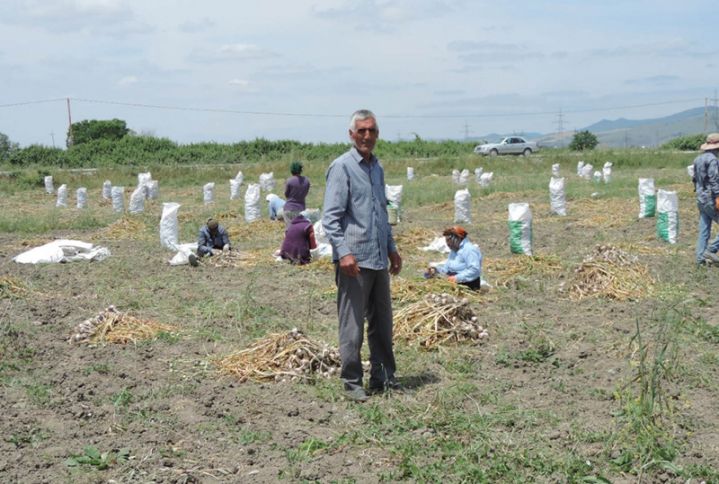"Satış üçün sifarişlər almışıq, yaxşı gəlir gətirir"