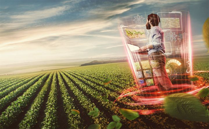 "Agro Dairy” şirkəti ödənişsiz təlimlərə yenidən start verir!