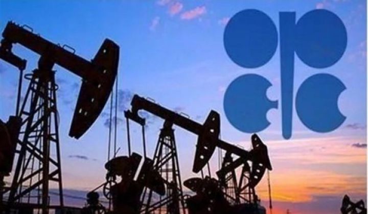 OPEC+ nazirləri 2025-ci ilin əvvəli üçün neft hasilatı planını müzakirə edəcəklər