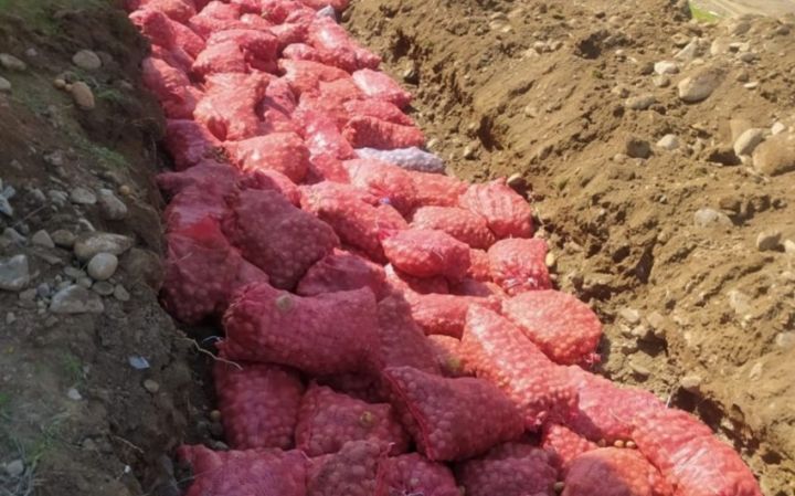 Azərbaycan Rusiyadan gətirilən 67 ton kartofu MƏHV ETDİ