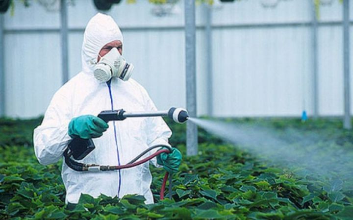AQTA 191 adda pestisidin istifadəsinə qadağa qoyub