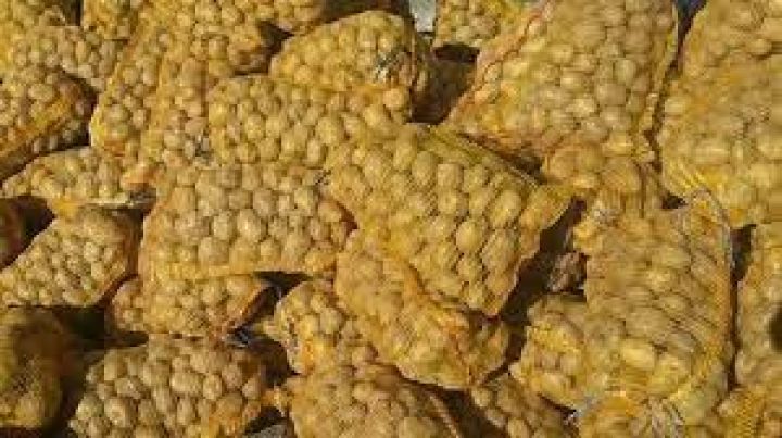 Azərbaycan kartofu xaricə daşınır - 100 MİN TONA YAXINLAŞIR