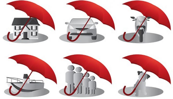 Dövlət şirkəti sığorta xidmətləri satın alır