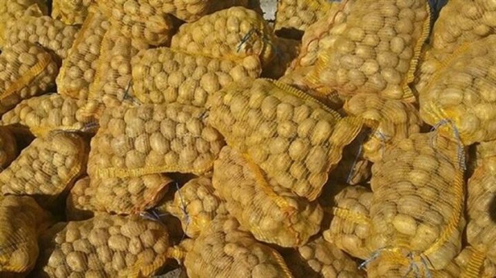 Azərbaycanda bu il 1 milyon tondan çox kartof yığılıb