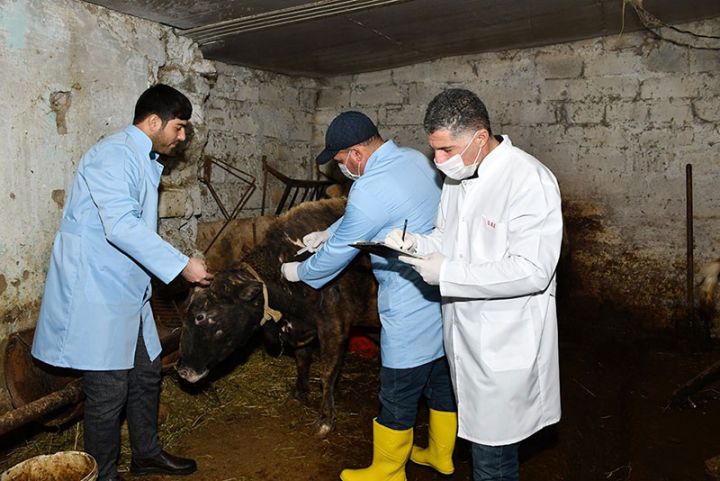 Baytarlıq xidməti və nəzarətə görə alınan haqqın məbləğləri müəyyənləşdi - SİYAHI