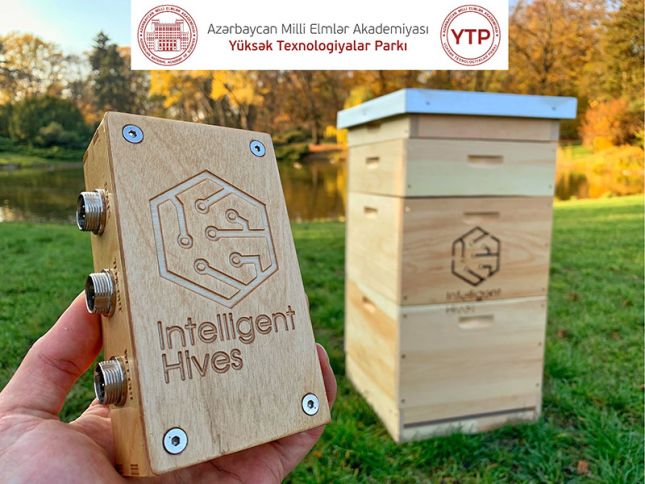 Azərbaycanda ağıllı arı yeşikləri istehsal ediləcək