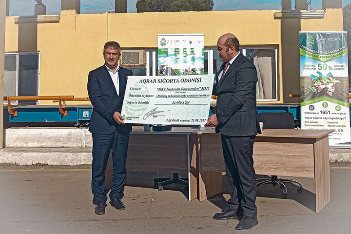 Pambıq sahələri üzrə ilk sığorta ödənişi “MKT İK” şirkətinə verilib