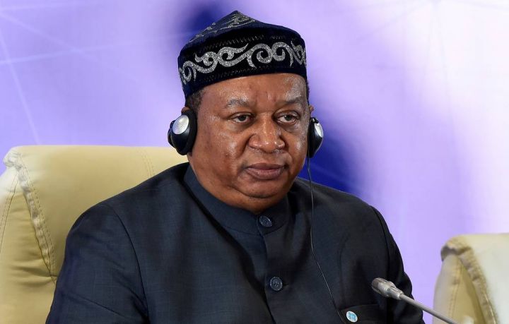 "Rusiya neftini kompensasiya etmək mümkün deyil"