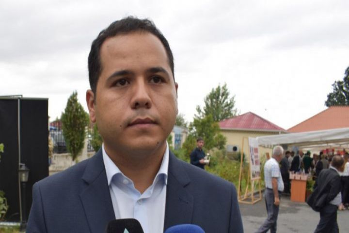 Azərbaycan fındıq ixracına görə top 3 ölkə sırasına daxildir