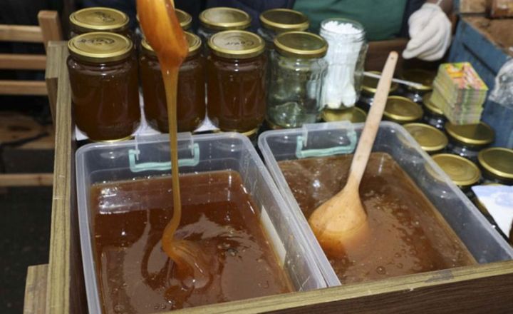 Azərbaycanda bal niyə bahalaşıb?