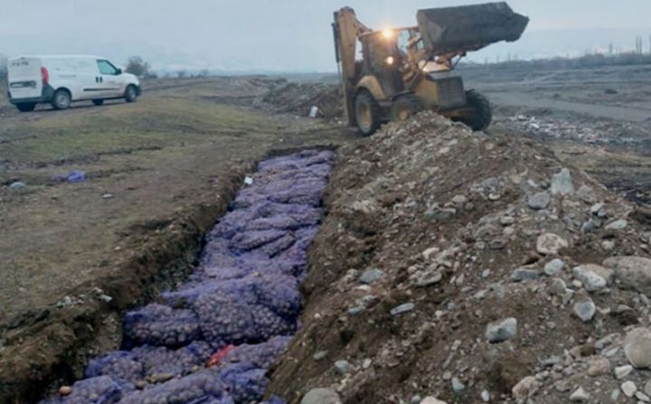 “AFKO Təminat” şirkətinin idxal etdiyi kartoflar məhv edilib
