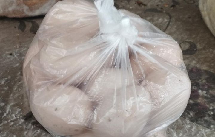 Əvvəllər 15 qəpikə satılan kənd yumurtası indi 50 qəpiyə təklif olunur