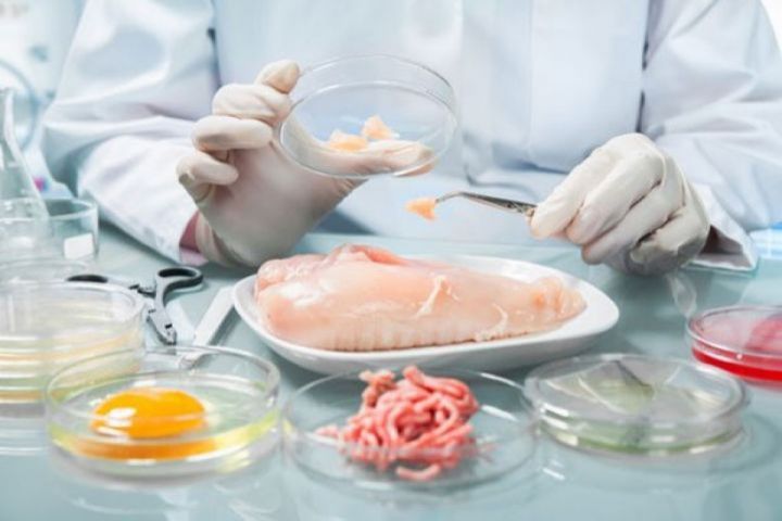 Qida məhsullarının təhlükəli hesab edilməsinə əsas verən halların açıq reyestri aparılacaq