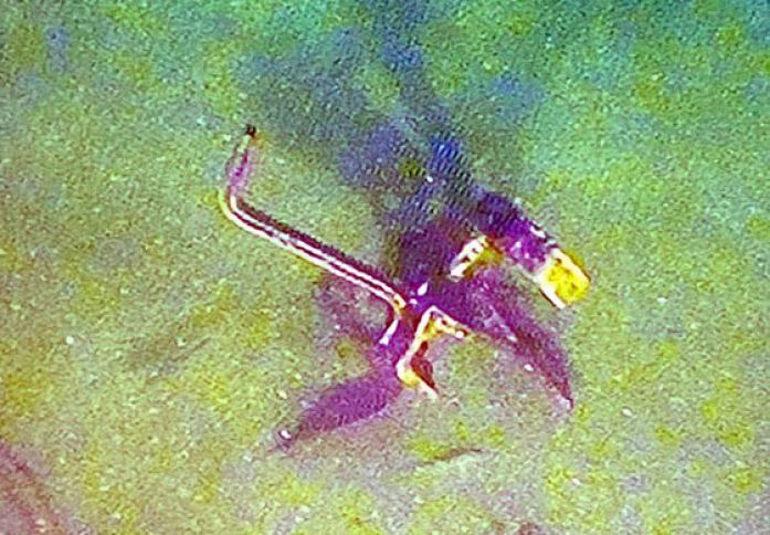 Xəzər dənizində aşkar edilən minalar zərərsizləşdirilib