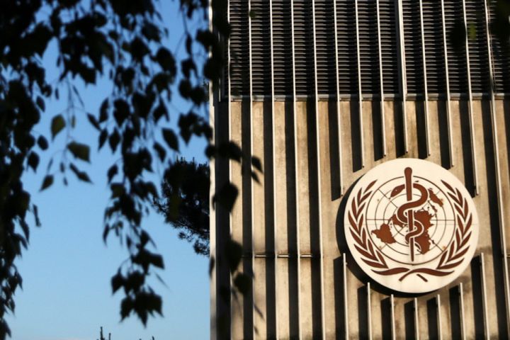 ÜST: Meymunçiçəyinin pandemiyaya çevrilmə ehtimalı yoxdur