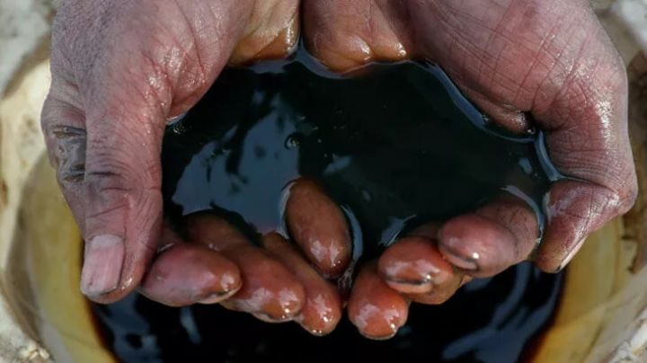 Citi-dən neft proqnozu