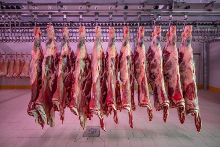 İllik 17 min baş heyvan kəsə bilən yeni müəssisə