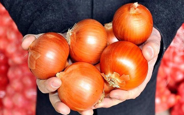Soğan niyə ucuzlaşmır?