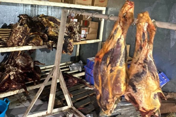 Təmkin Əliyevə məxus “Yeganə Palace”da saxtakarlıq əlamətləri - FOTOLAR