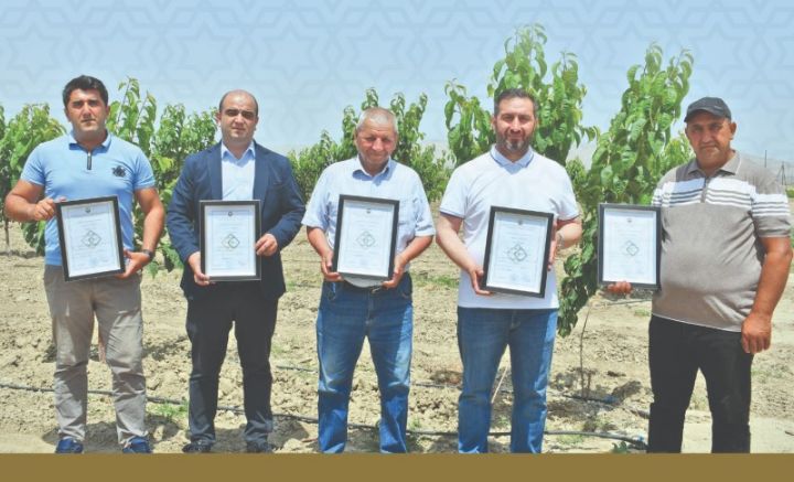 3 şirkət və 2 fərdi sahibkara status verildi - 4,3 MİLYON MANATA 177 HEKTARDA BAĞ SALACAQLAR