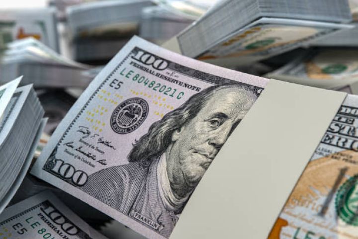 Hər 100 manat kreditin 20 manatı ABŞ dolları ilə götürülüb