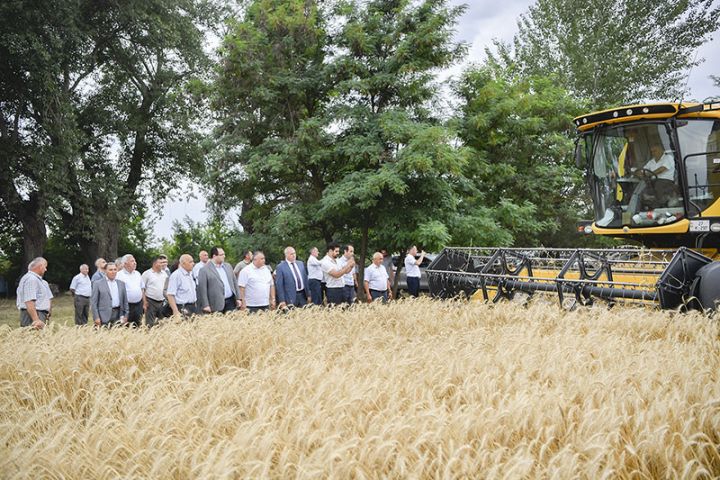 Nazir taxıl biçini prosesini izləyib, fermerlərlə görüşüb