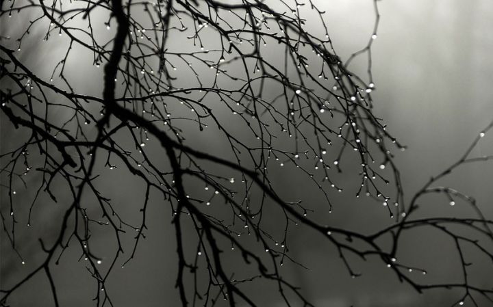 Hava pisləşəcək - temperatur 7-10 dərəcə enəcək - XƏBƏRDARLIQ