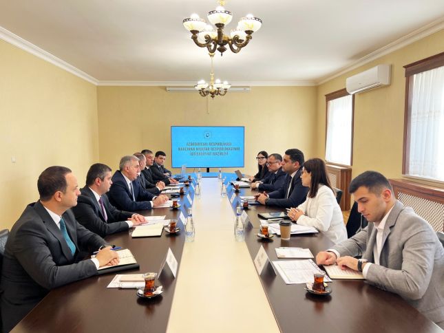 Naxçıvanın iqtisadiyyat nazirinin müavini Visa şirkətinin menecerini qəbul edib