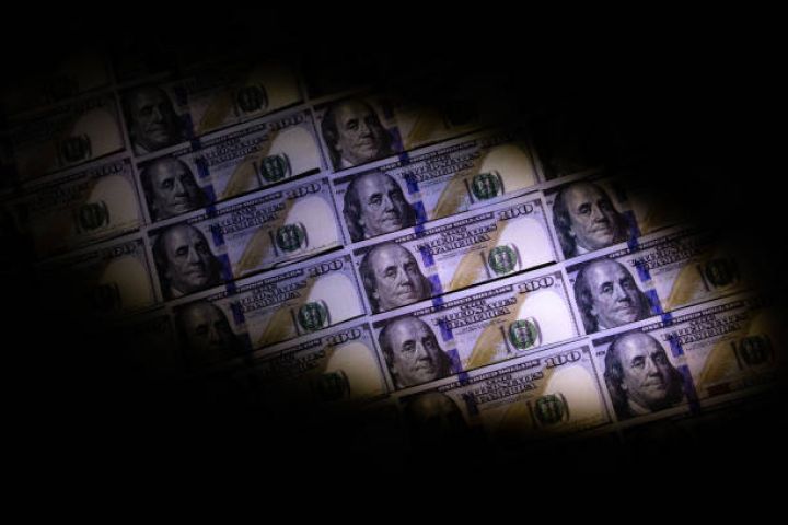 147 milyon pul ölkəyə qaytarılmayıb - İxrac ilə məşğul olan şəxslər məsuliyyətə cəlb edilib