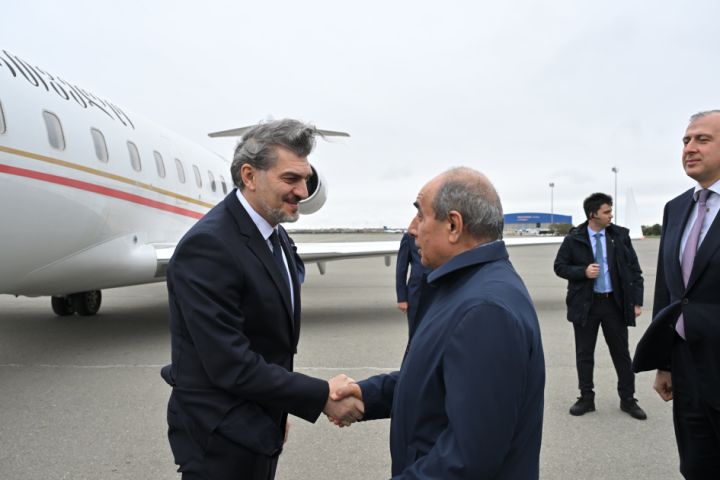 Gürcüstan Prezidenti Azərbaycana gəldi